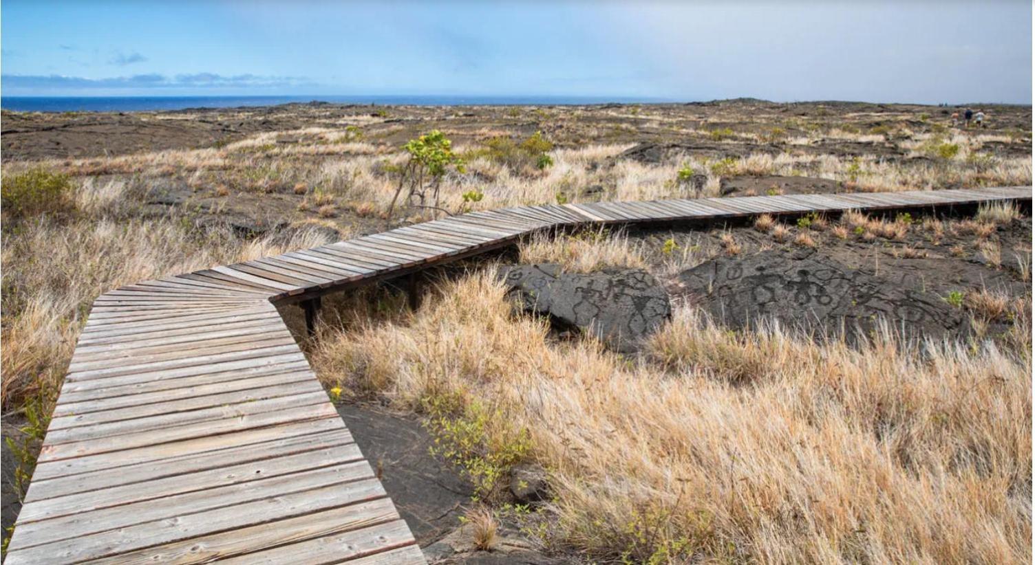 Volcano One - Modern Studio With Lanai Near Volcano National Park מראה חיצוני תמונה